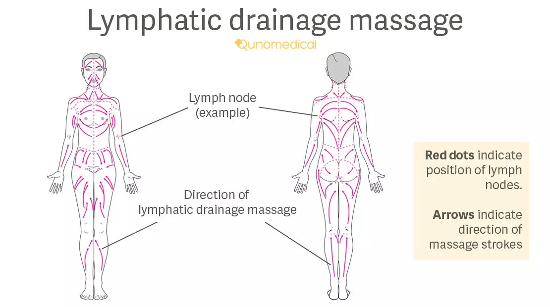 Understanding Your Lymphatic System: The Body’s Natural Detox Network