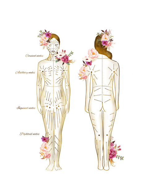 Consultation – Education, Assessment, and Care Planning (Lymphedema, Lipedema, Post Surgical)