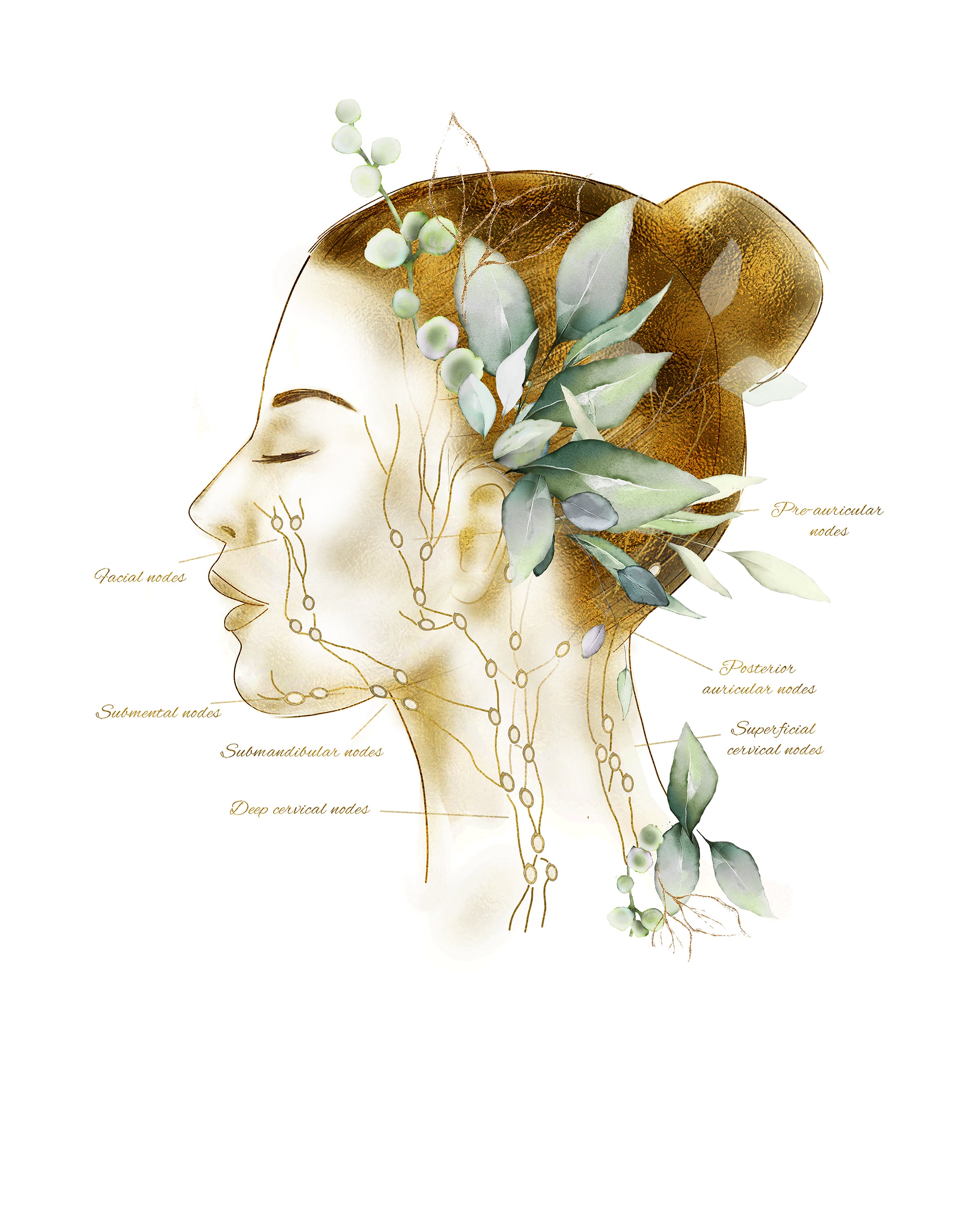 Targeted Area Treatment- Certified Lymphatic Drainage